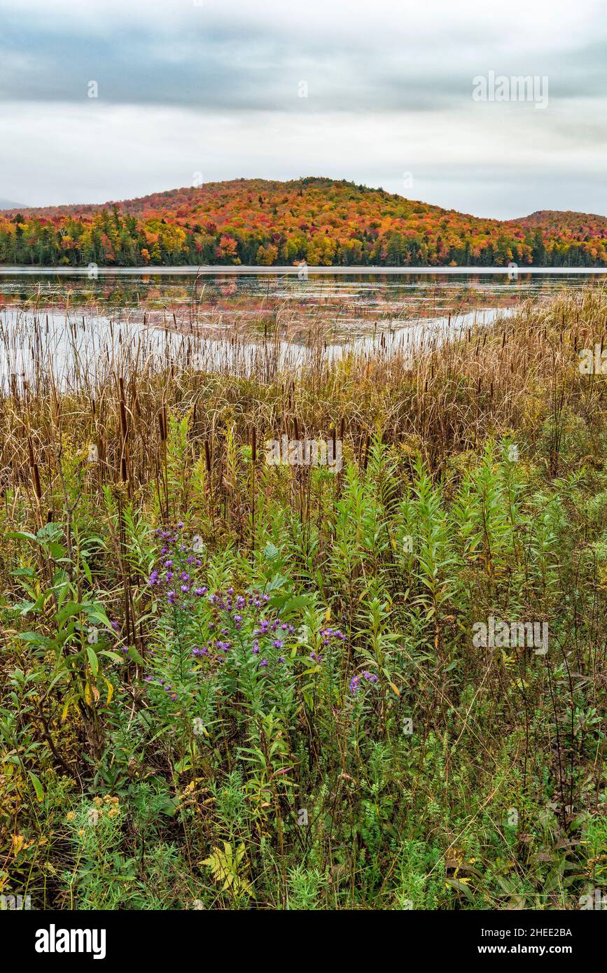 Herbst am Lake Durant, Adirondack Park, Hamilton County, New York Stockfoto
