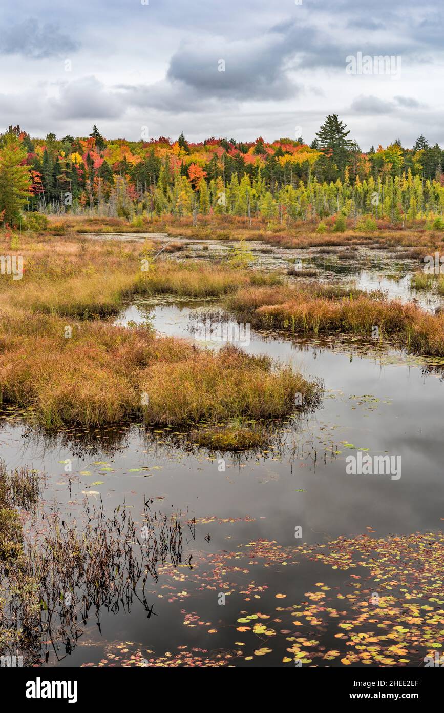 Browns Tract Inlet direkt am Raquette Lake im Herbst, Adirondack Park, Hamilton County, New York Stockfoto