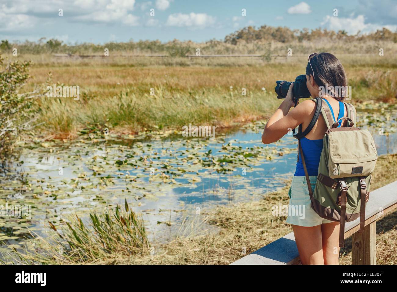 Florida Feuchtgebiete Rundgang Frau Tourist fotografieren mit Kamera von Wildtieren. Vogelbeobachtung, Alligatoren, Fische in den Sumpfmangroven der Stockfoto