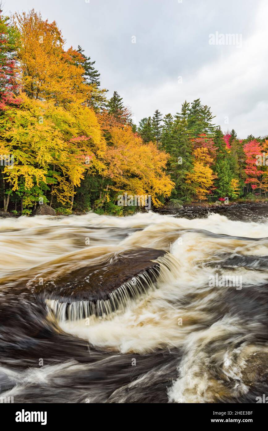 Stromschnellen über Buttermilk Falls, Raquette River, Adirondack Park, Hamilton County, New York Stockfoto
