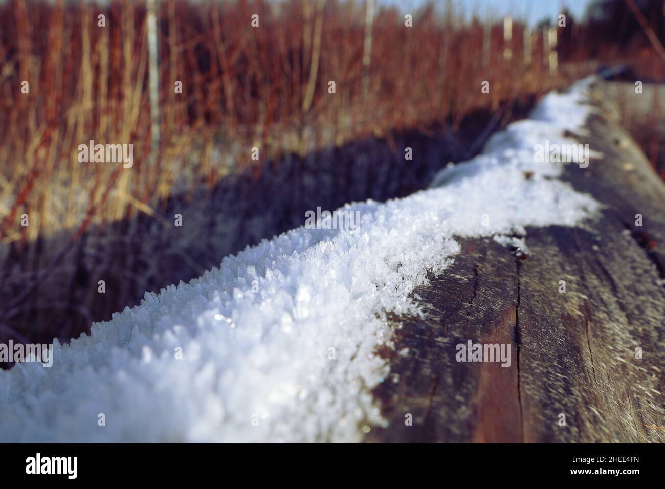 Weiches Rime auf einem Log Stockfoto