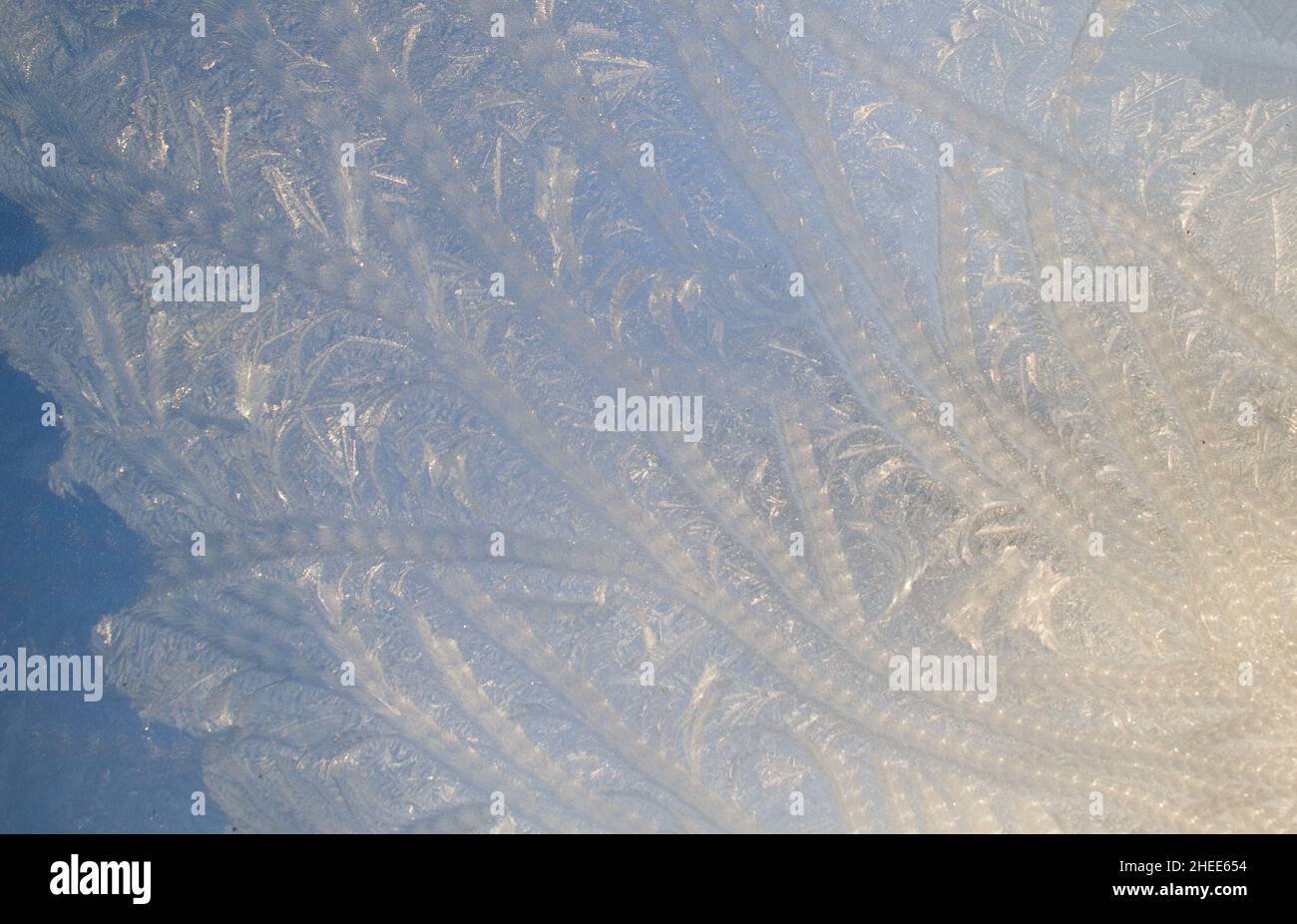Eisblumen bilden ein abstraktes Muster auf Glas Stockfoto