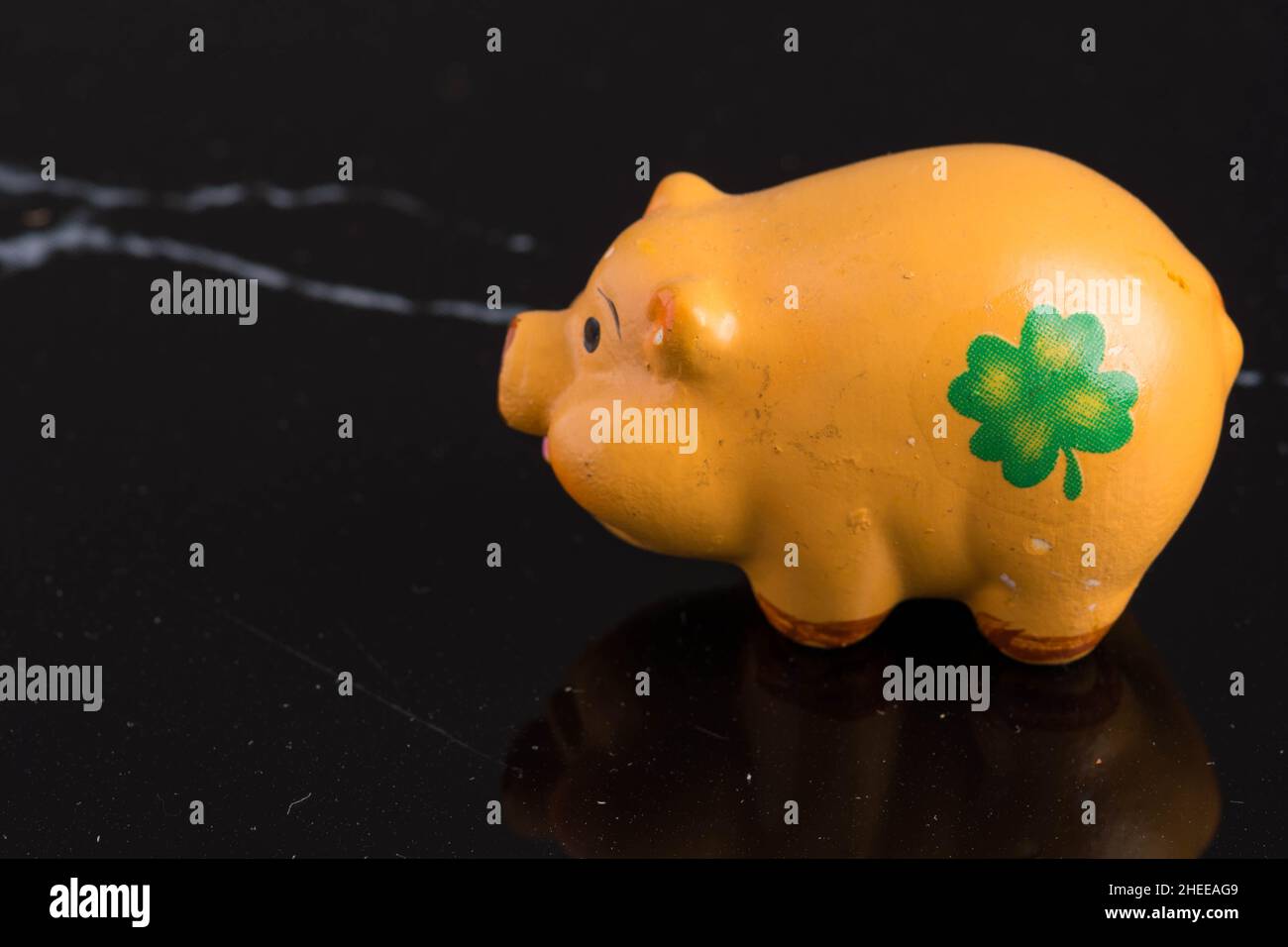 Lucky Pig mit Shamrock auf Schwarz Stockfoto
