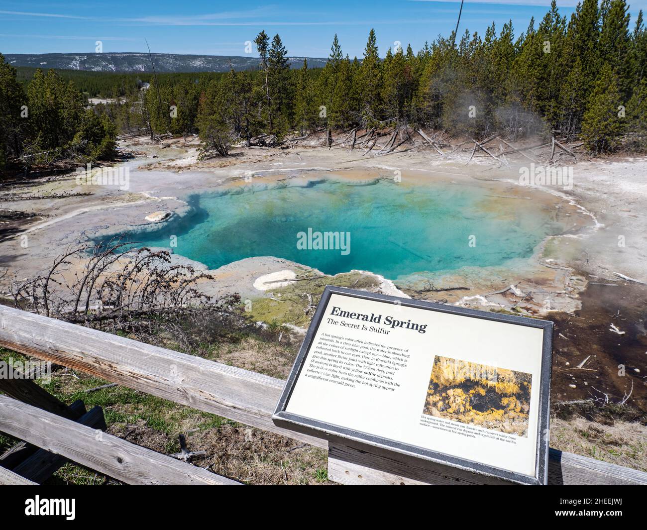 Emerald Spring im Norris Geyser Basin, Yellowstone National Park, Wyoming, USA. Stockfoto