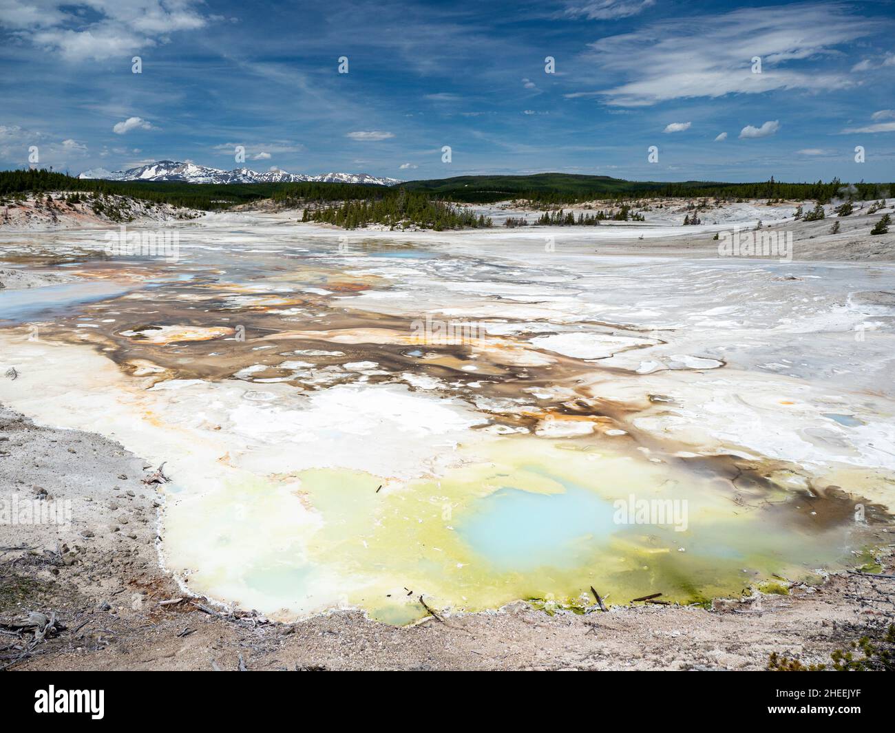 Porcelain Springs im Norris Geyser Basin, Yellowstone National Park, Wyoming, USA. Stockfoto