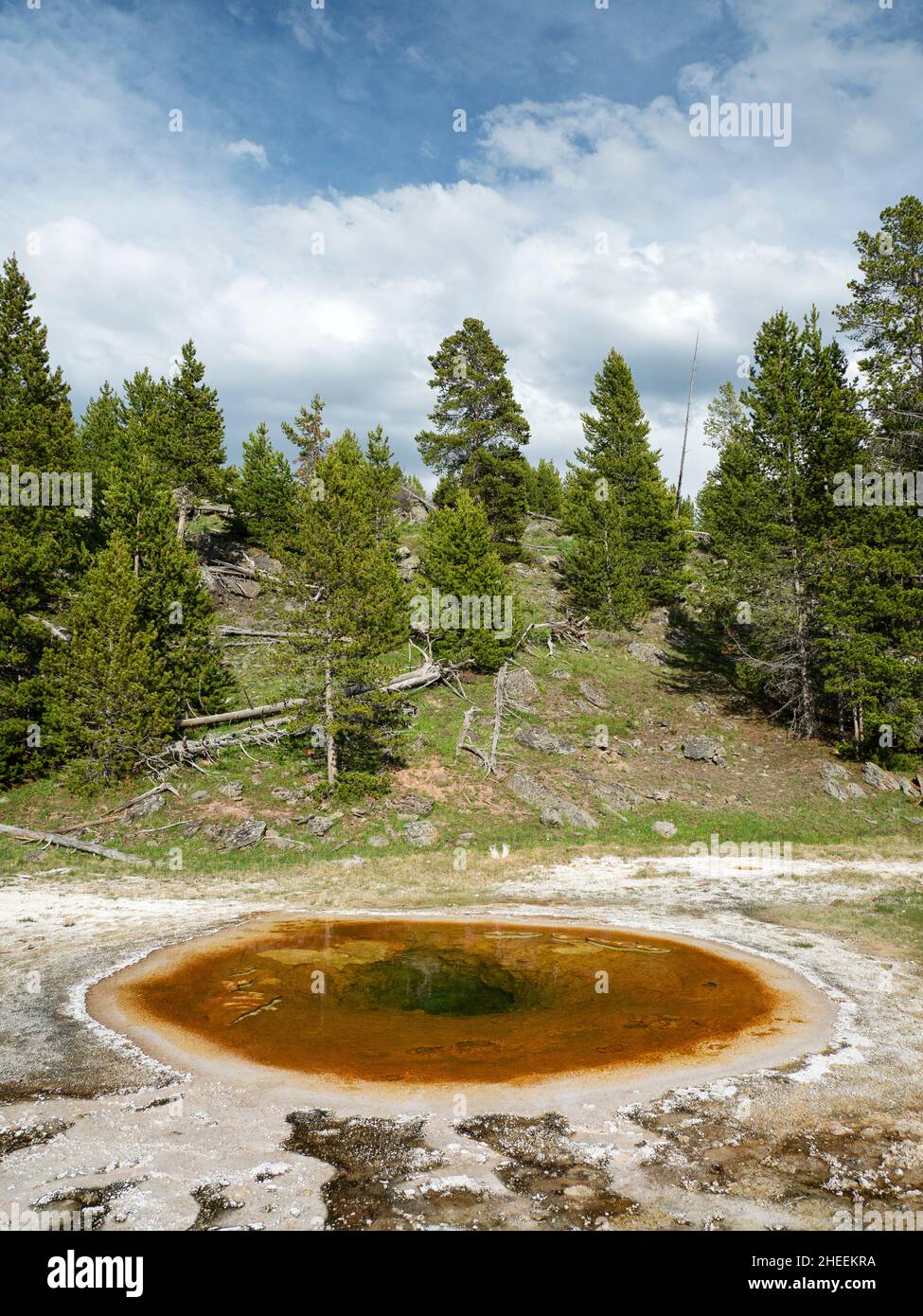 Wave Spring, im Gebiet des Norris Geyser Basin, Yellowstone National Park, Wyoming, USA. Stockfoto