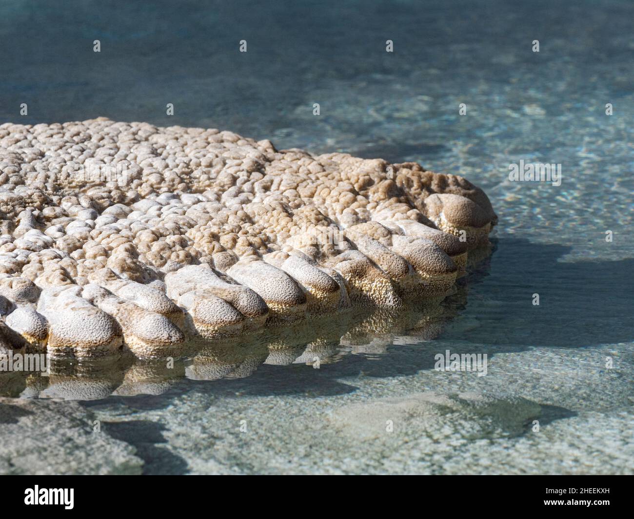 Detail des Solitary Geyser, in der Norris Geyser Basin Area, Yellowstone National Park, Wyoming, USA. Stockfoto