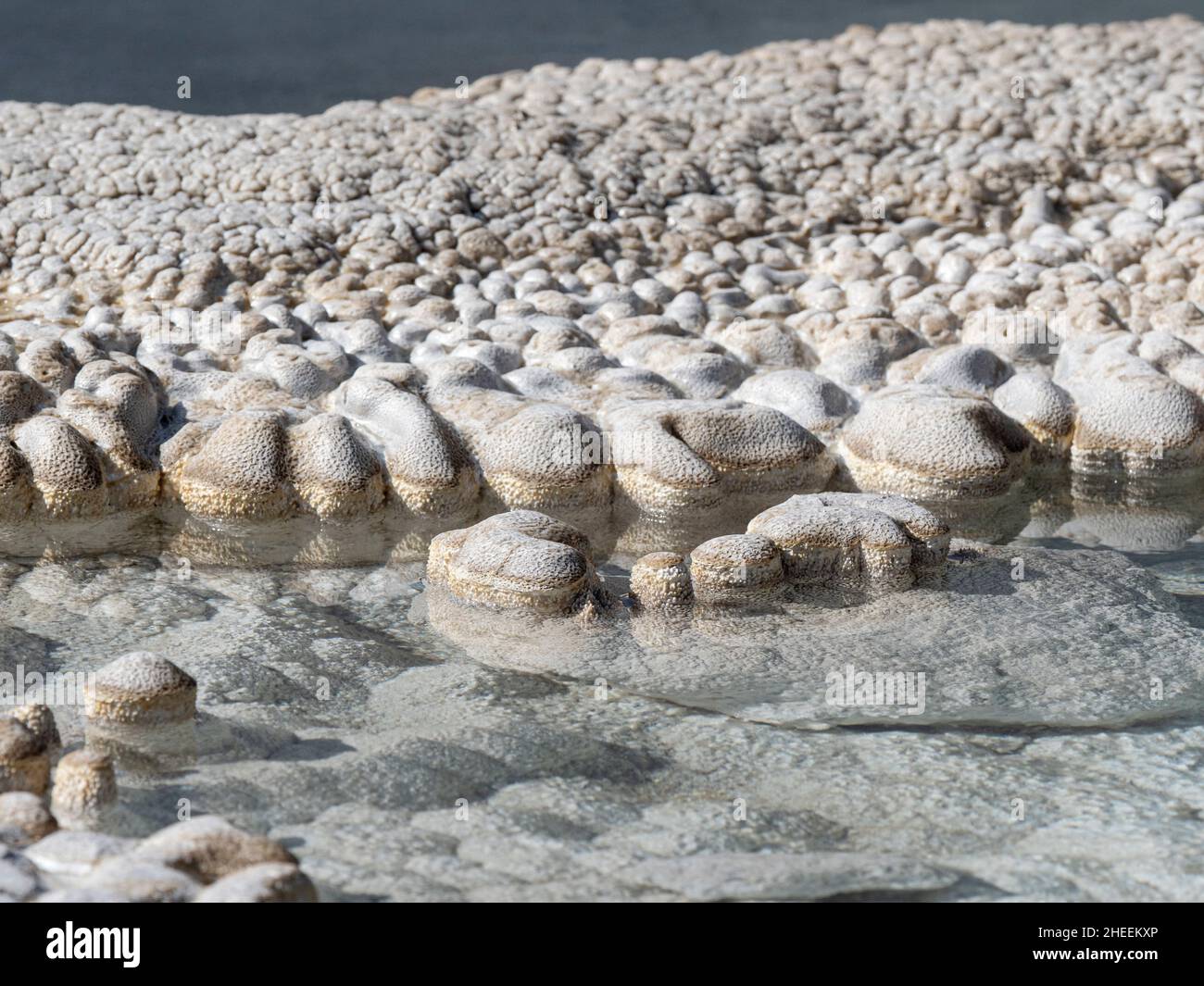 Detail des Solitary Geyser, in der Norris Geyser Basin Area, Yellowstone National Park, Wyoming, USA. Stockfoto