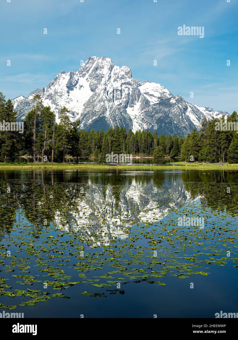 Coulter Lake im Grand Teton National Park, Wyoming, USA. Stockfoto