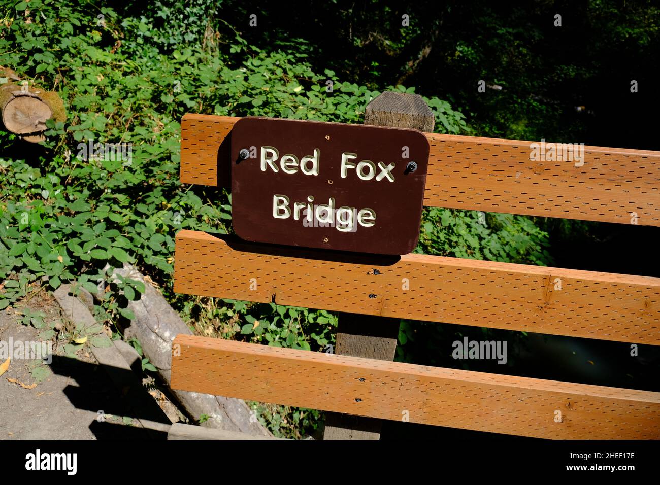 Red Fox Bridge - Tryon Creek State Natural Area Stockfoto