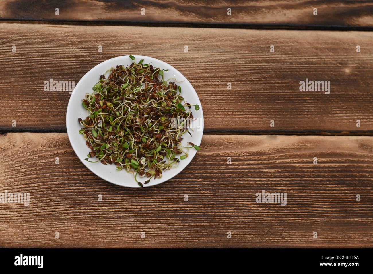 Keimende Grünpflanzen Leinsamen. In einem weißen Teller auf einem Holztisch. Konzept gesunde Ernährung. Draufsicht. Stockfoto