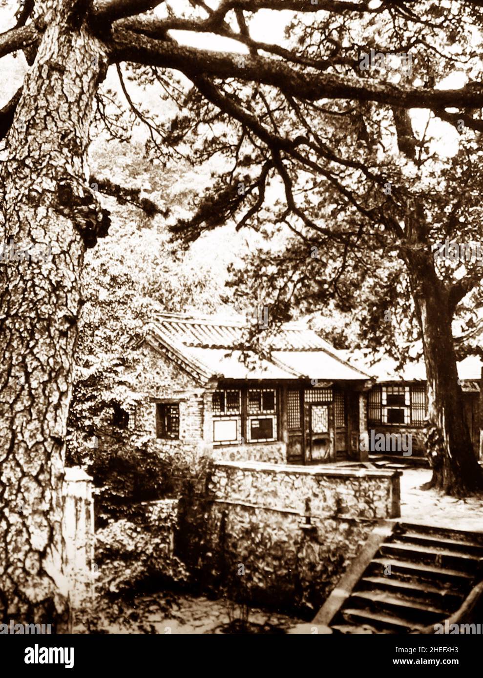 Lung wang Fotos und Bildmaterial in hoher Auflösung Alamy