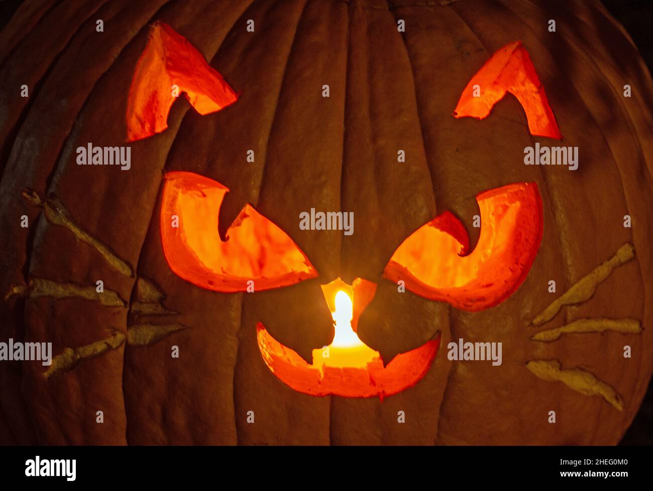 Halloween Jack o' Lantern Stockfoto