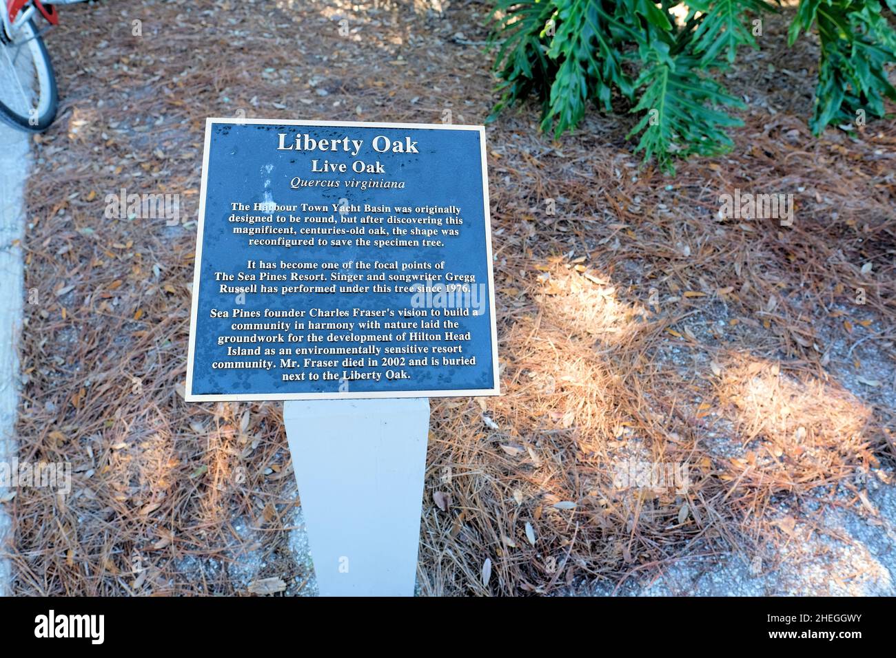 Gedenktafel an der Liberty Oak zu Ehren von Charles Fraser, dem Gründer der Sea Pines Plantation; Hilton Head, South Carolina, USA, Begräbnisstätte Stockfoto
