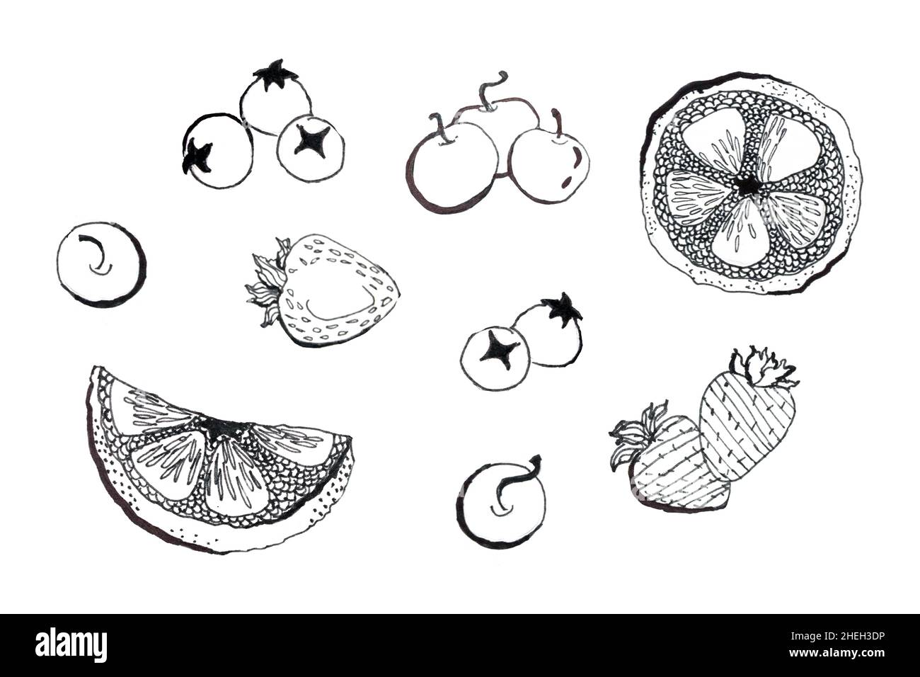 Handgezeichnete Beerenfrucht-Illustration isoliert auf Weiß. Schwarze lineare Früchte und Beeren Symbole gesetzt Stockfoto