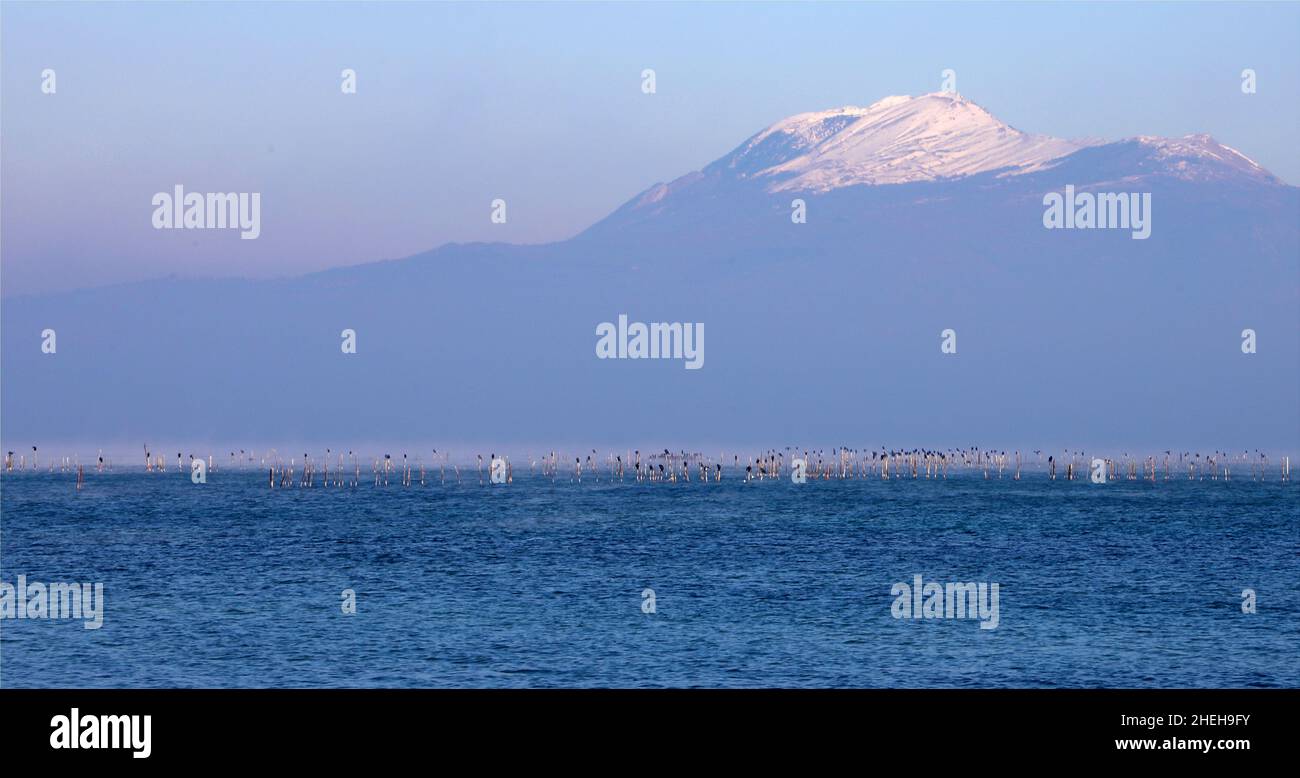 Kormorane ruhen im Gardasee, Winter Stockfoto