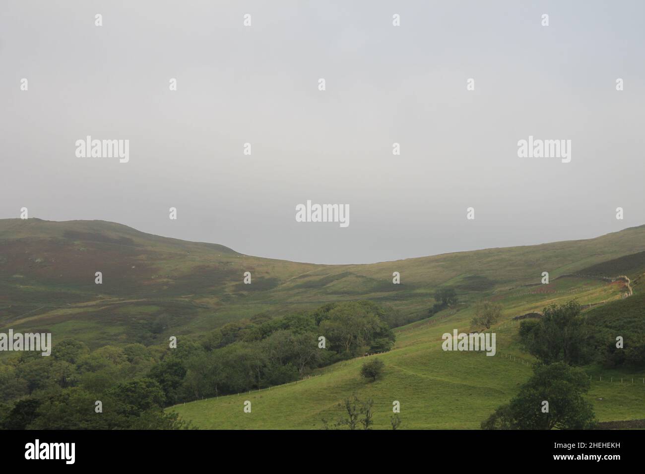 Nebel bedeckt die Gipfel der Hügel in Schottland. Reise- und Tourismuskonzept Stockfoto