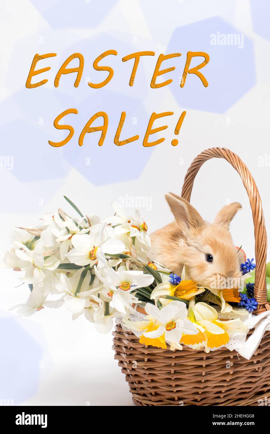 Eine vertikale Karte mit dem Text Osterverkauf mit einem schönen kleinen Kaninchen in einem Korb Stockfoto