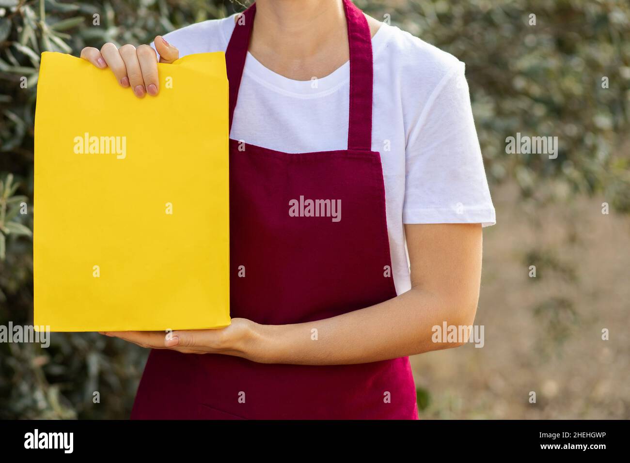 Frau in einer Schürze hält eine Papiertüte mit Öko-Produkten. Bio-Lebensmittel. Lieferung von Bio-Produkten vom Bauernhof. Stockfoto