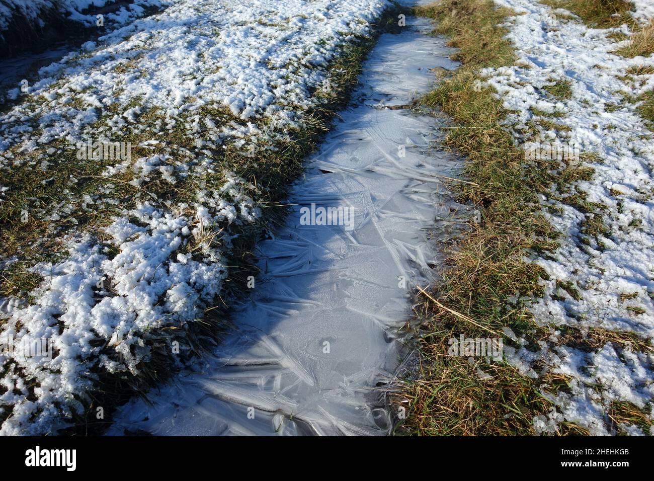 Eisige Muster auf gefrorenen Puddle by Path nach Ingleborough (1 der Yorkshire 3 Peaks) von Clapham, Yorkshire Dales National Park, England, Großbritannien. Stockfoto