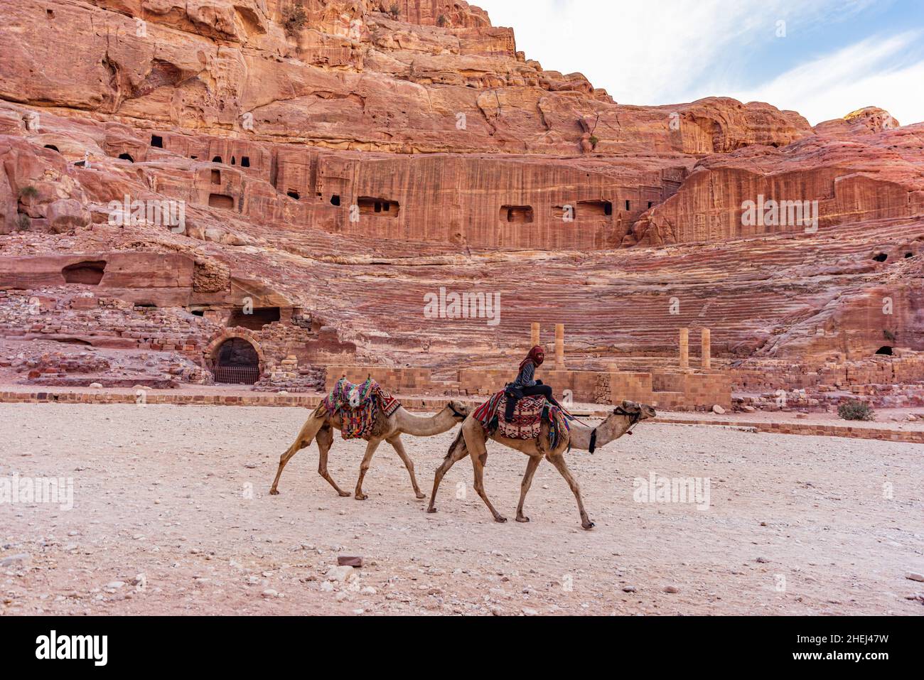 PETRA, JORDANIEN - 28. DEZEMBER: Kamele laufen am 28. dezember 2021 vor dem Theater der antiken Stadt Petra in Petra, Jordanien. Stockfoto