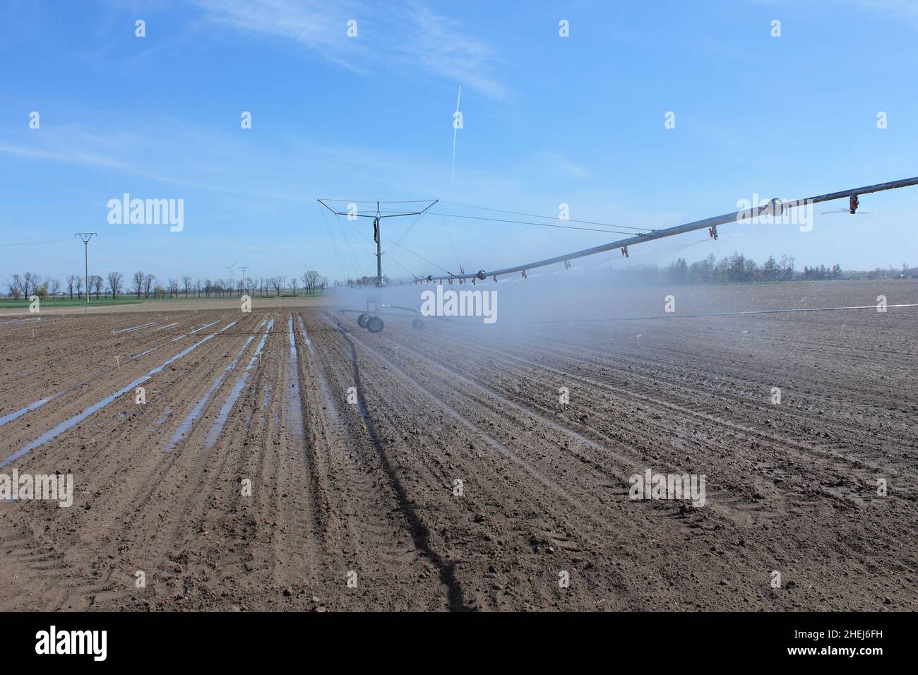 Bewässerungssystem in Funktion Bewässerung von landwirtschaftlichen Pflanzen. Trockenheitsprävention. Sprinkleranlage. Stockfoto