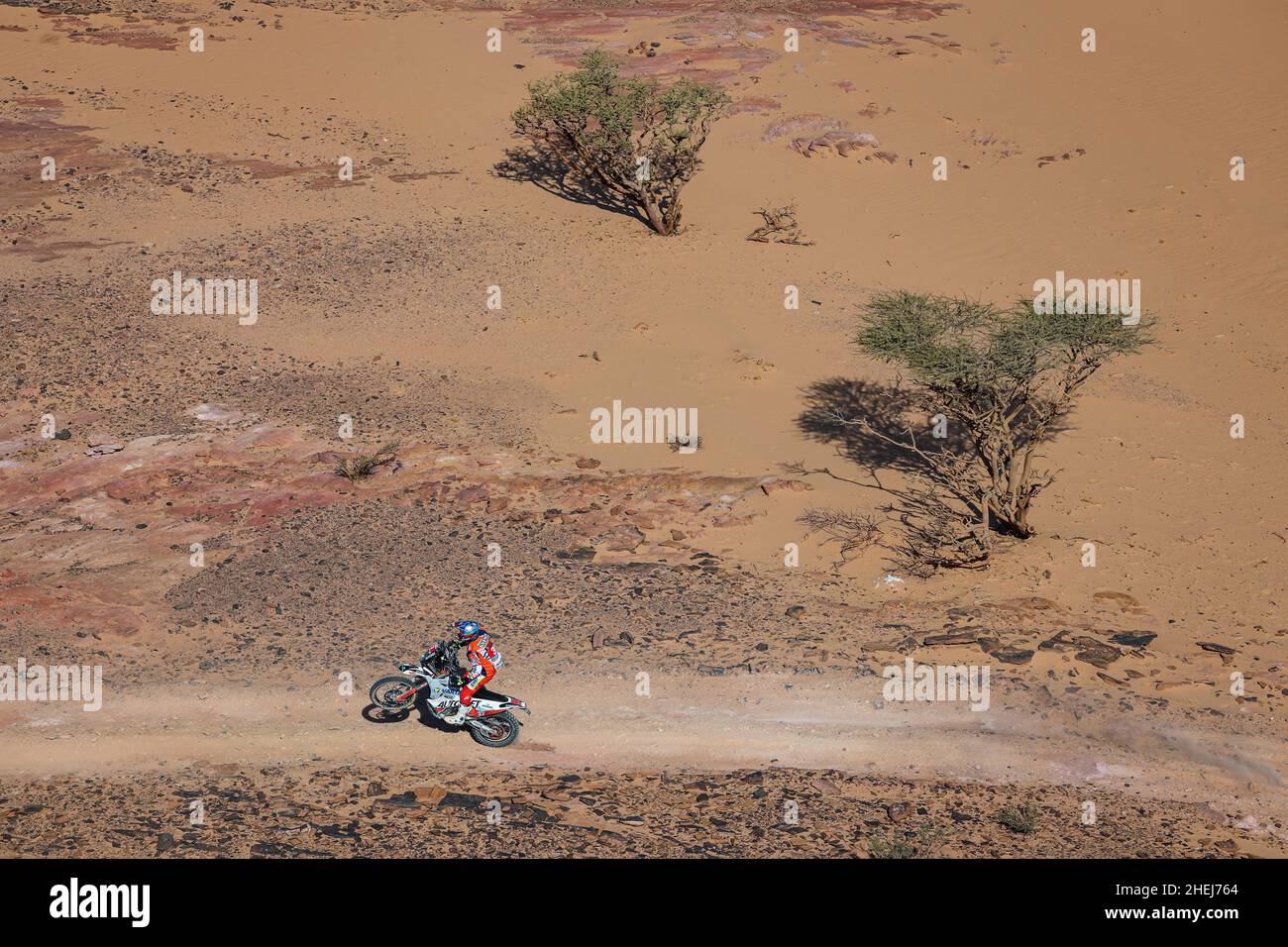 37 Gyenes Emanuel (rou), Autonet Motorcycle Team, KTM 450 Rally Replica, Moto, W2RC, Motul, Original von Motul, Aktion während der Etappe 9 der Rallye Dakar 2022 um Wadi Ad Dawasir, am 11th 2022. Januar in Wadi Ad Dawasir, Saudi-Arabien - Foto Florent Gooden / DPPI Stockfoto