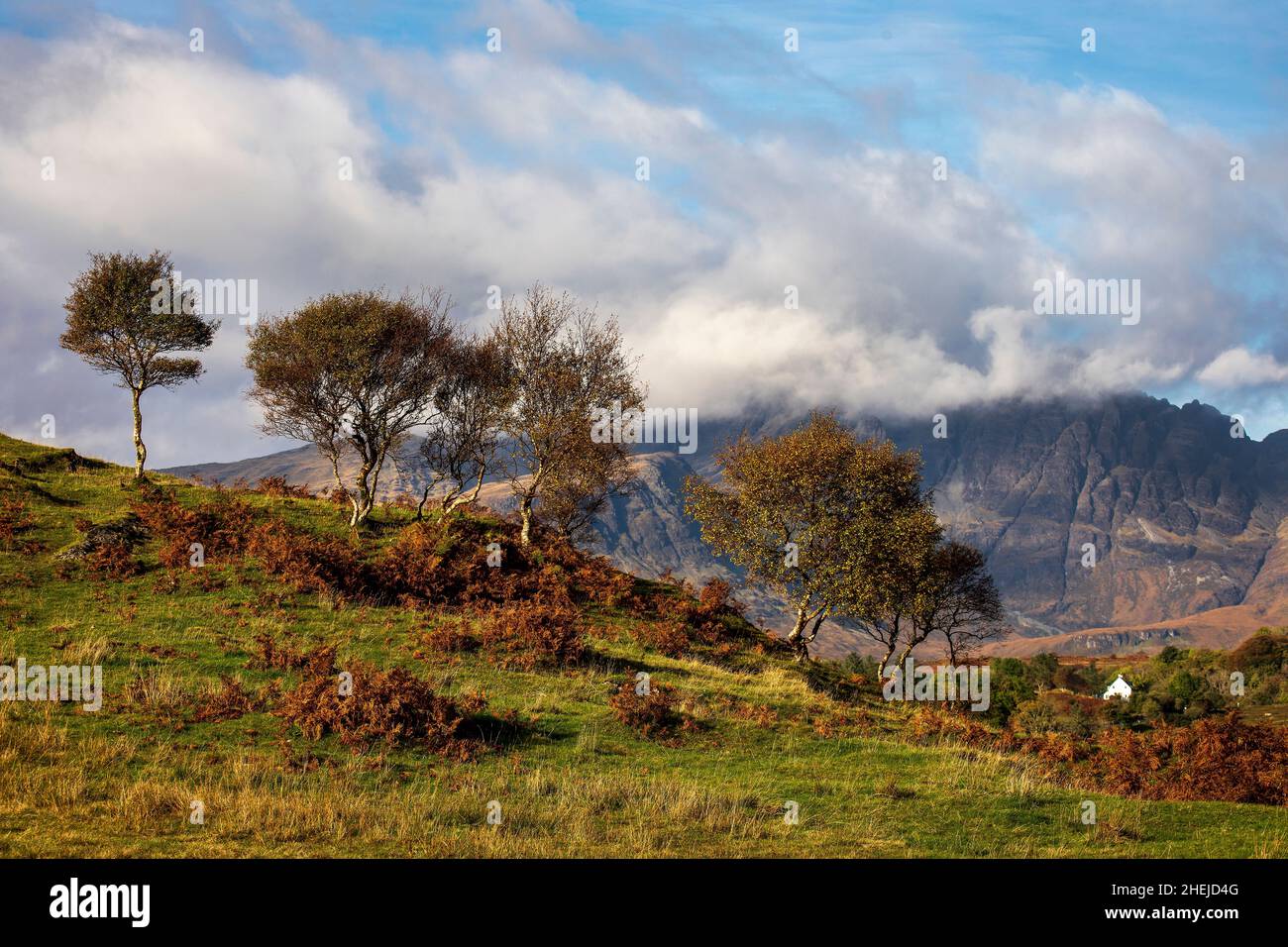 Herbstbäume, in der Nähe von Torrin, Isle of Skye, Schottland. Stockfoto