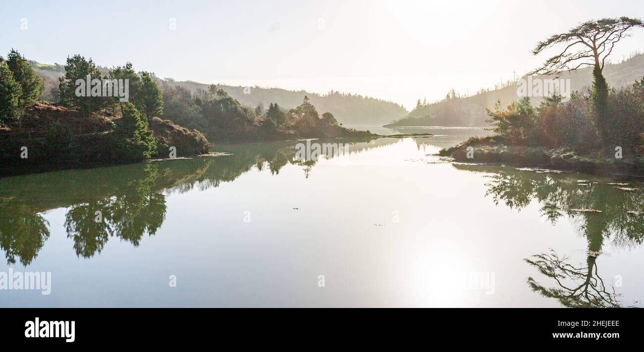 Castlehaven, West Cork Irland Ebbe an einem flachen, ruhigen Tag, der Wälder im Wasser reflektiert. Stockfoto