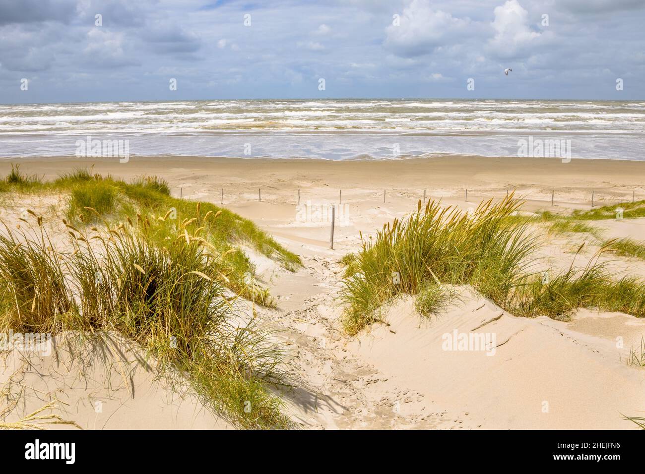 Landschaftsansicht der Sanddüne an der Nordseeküste bei Wijk aan Zee, Noord Holland Provinz, Niederlande. Landschaft Szene der europäischen Natur. Stockfoto