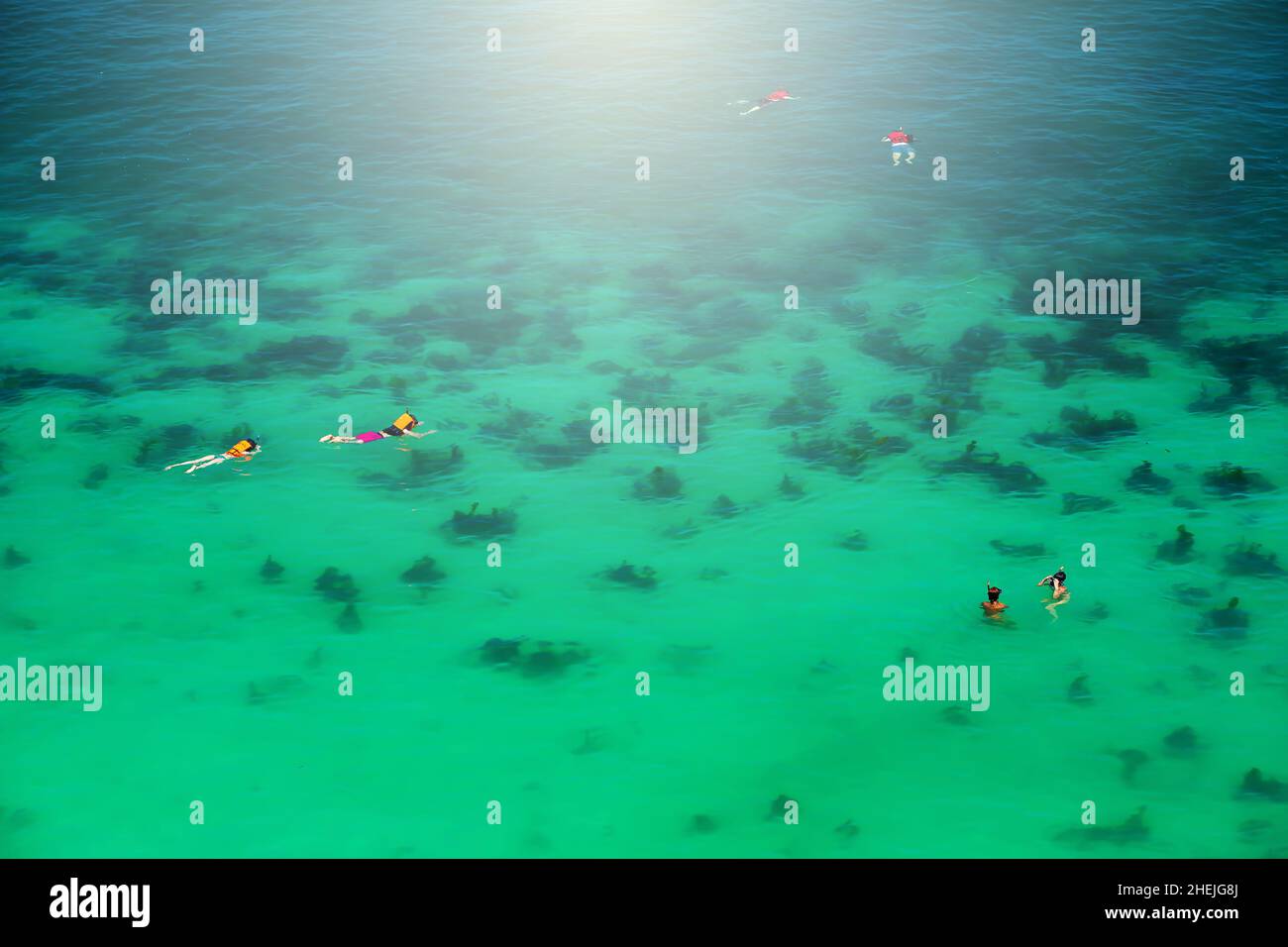 Luftaufnahme einer Gruppe von Touristen in Schnorchelmasken tauchen unter Wasser in grünen Algen im kristallklaren Meerwasser, Sommer. Mu Koh Ang Thong, Thailand. Stockfoto