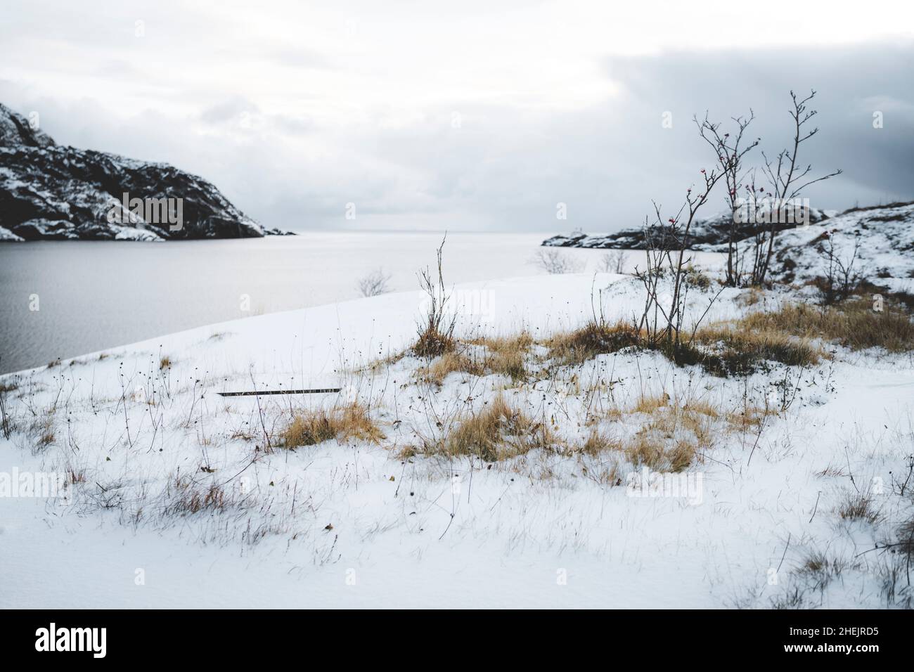Winterhimmel über der schneebedeckten Küste entlang des gefrorenen Fjords, Nusfjord, Nordland County, Lofoten Islands, Norwegen Stockfoto