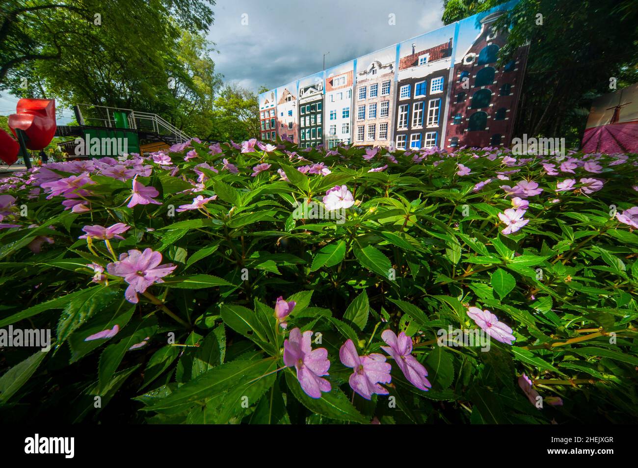 Holambra ist der größte Hersteller von Blumen und Zierpflanzen in Lateinamerika, ist ein beliebtes Touristenziel, eine Stadt, die von niederländischen Einwanderern gebaut wurde Stockfoto