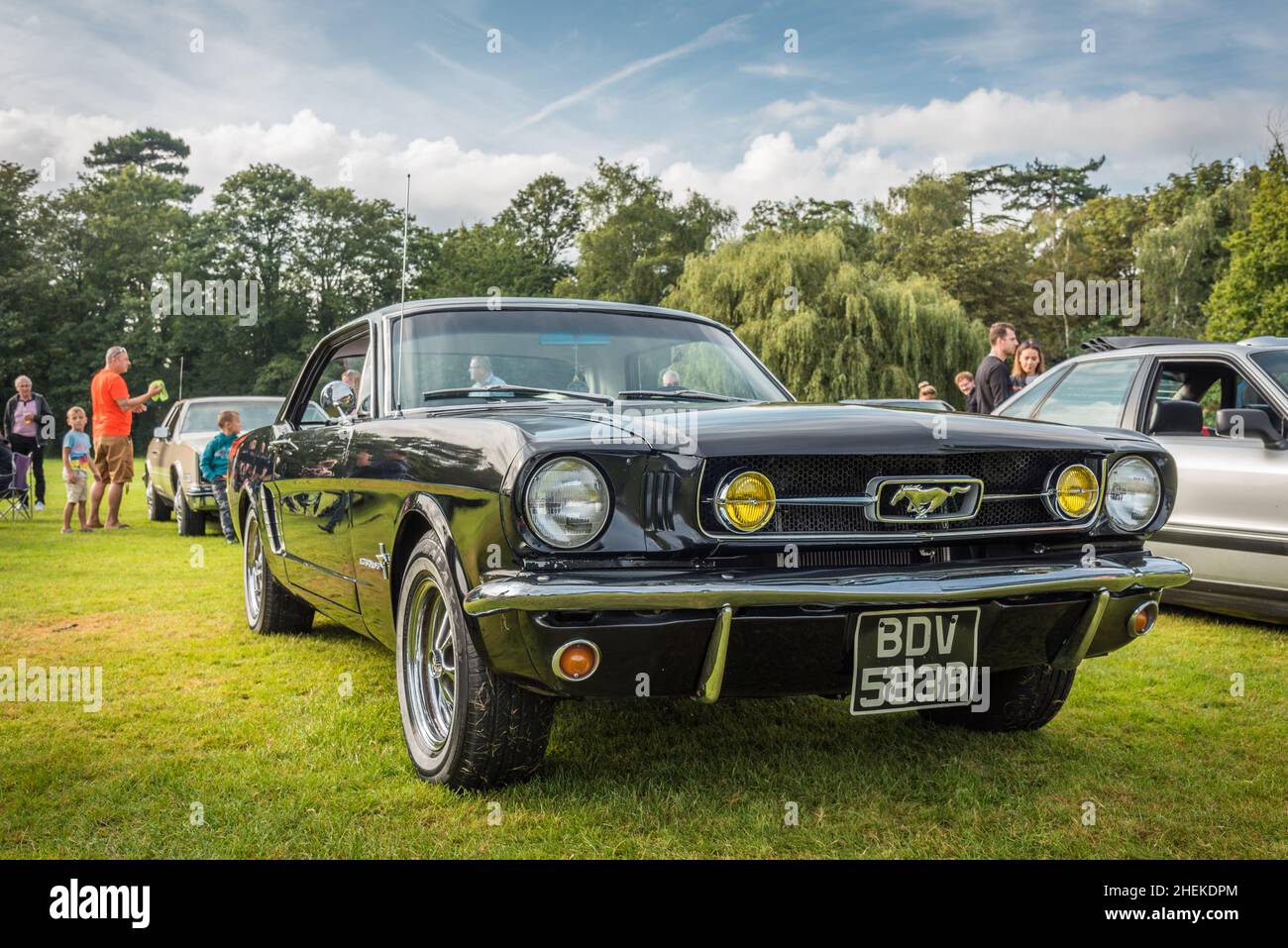 Ford Mustangs auf dem Display Stockfoto