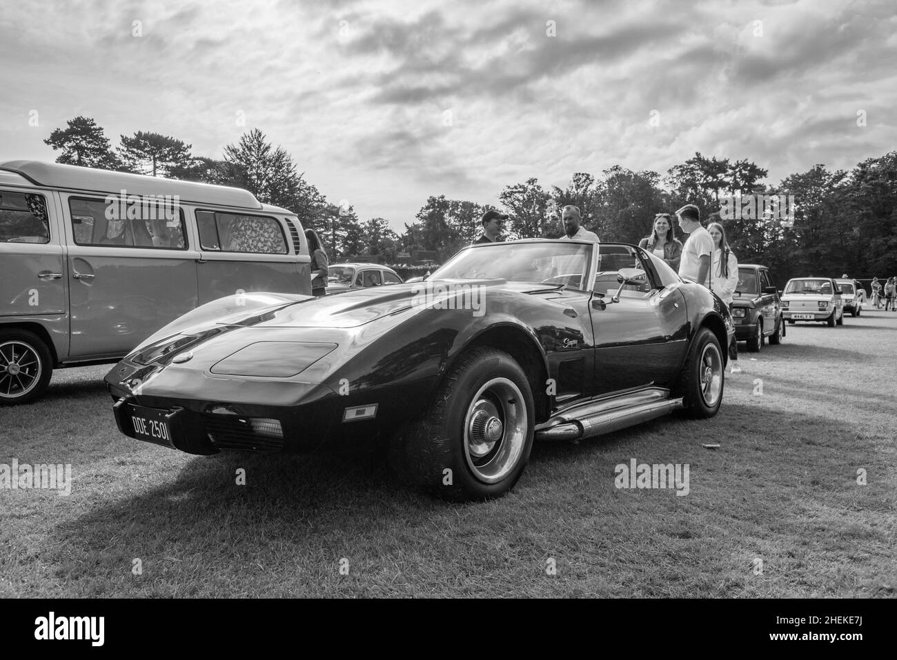 Chevrolet Stingray auf der Ausstellung Stockfoto