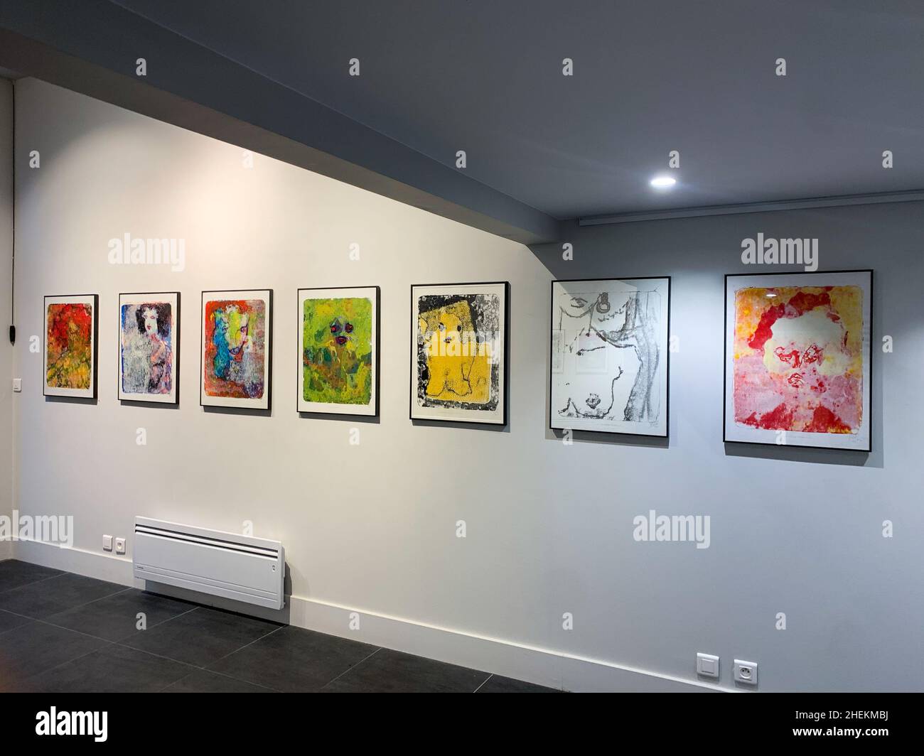 Kunstgalerie, Ausstellung Martian Ayme, Lyon, Frankreich Stockfoto