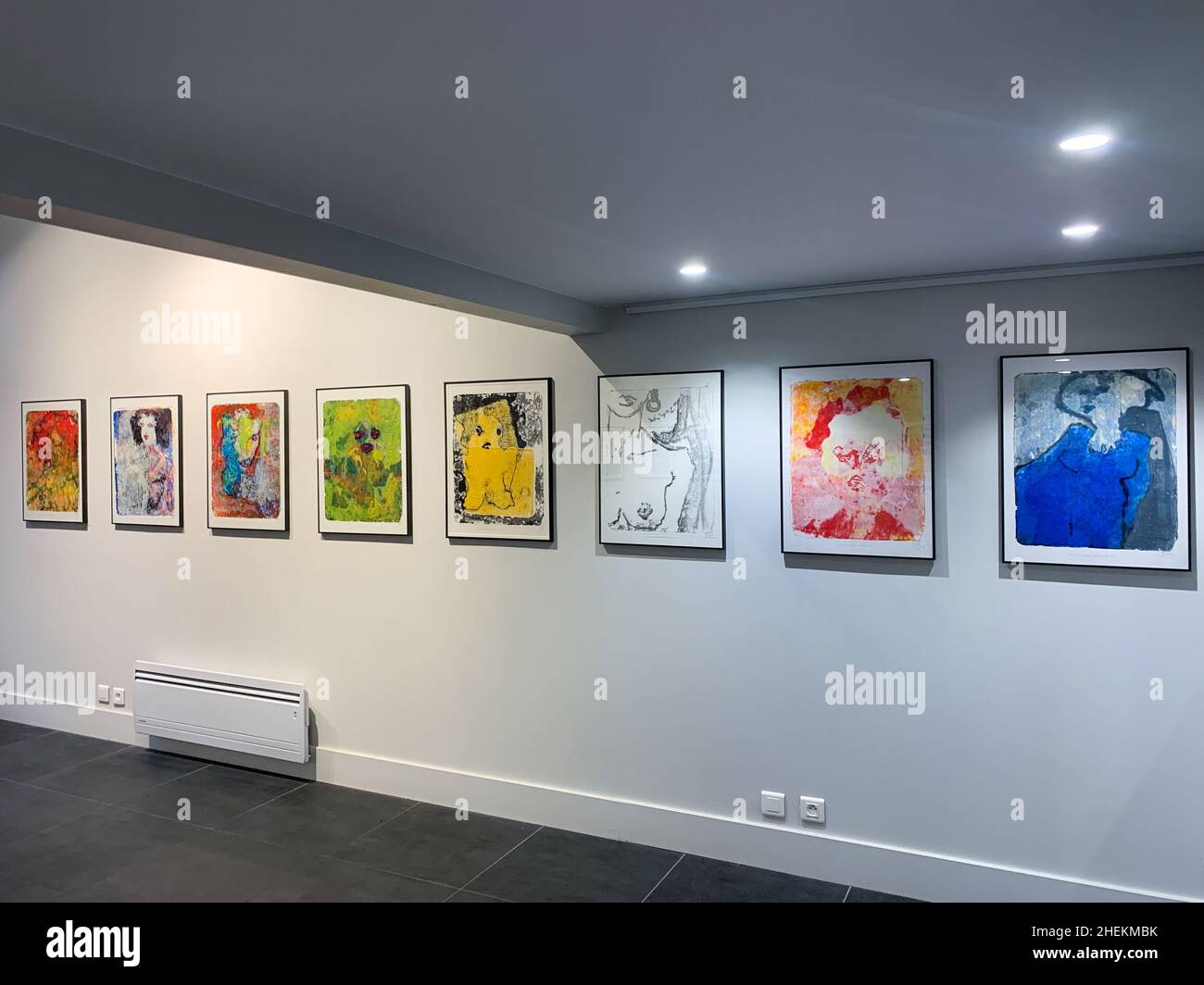 Kunstgalerie, Ausstellung Martian Ayme, Lyon, Frankreich Stockfoto