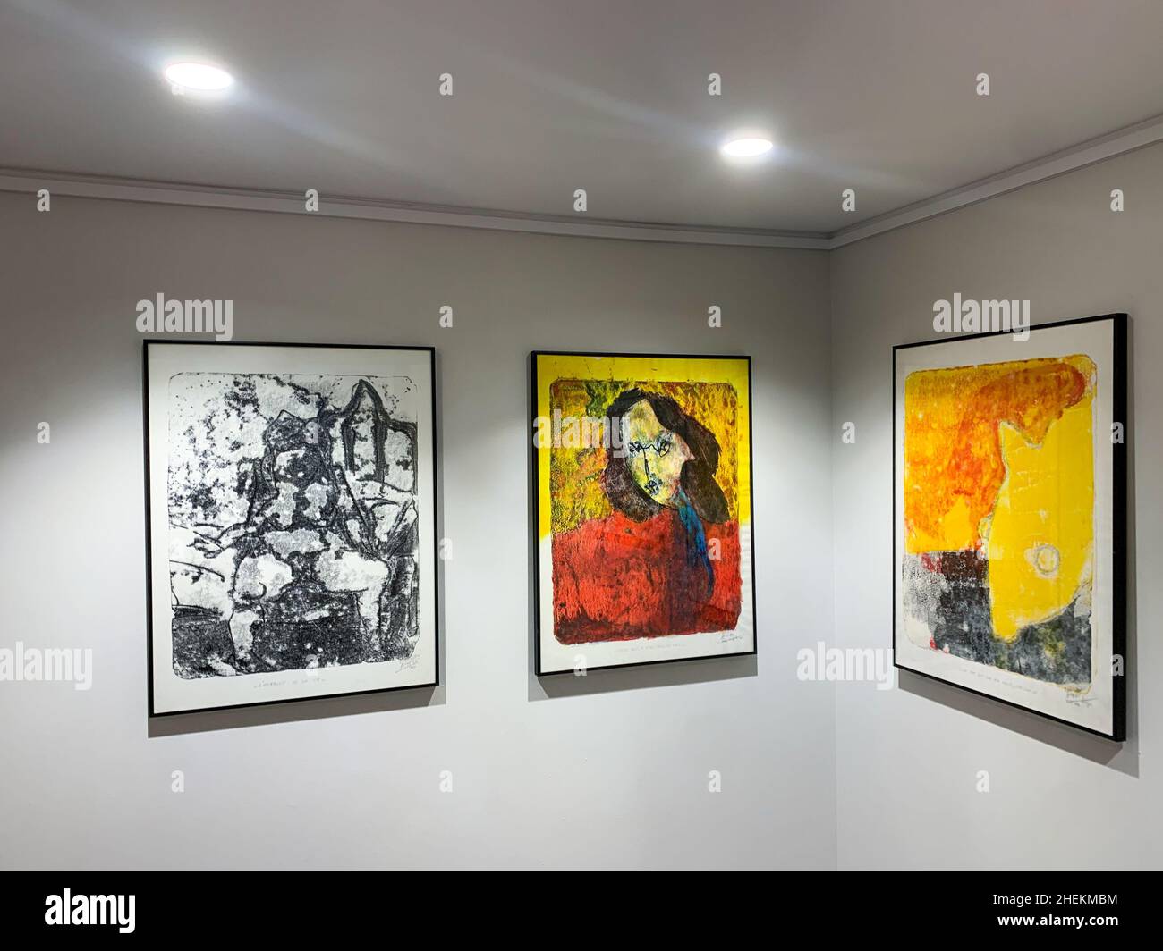 Kunstgalerie, Ausstellung Martian Ayme, Lyon, Frankreich Stockfoto