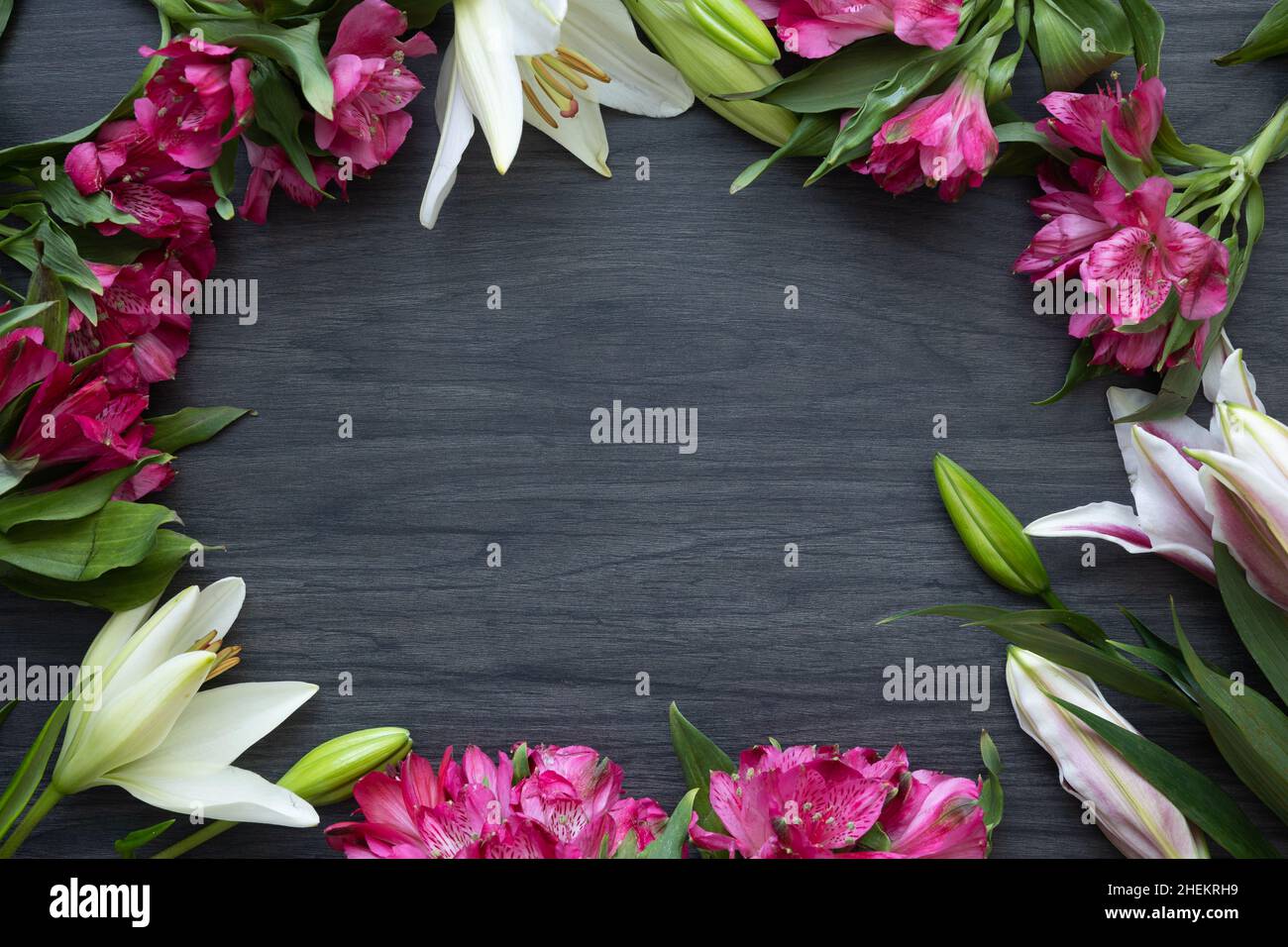 Rahmen von Osterblumen auf einem dunklen Holzhintergrund mit Kopierraum Stockfoto