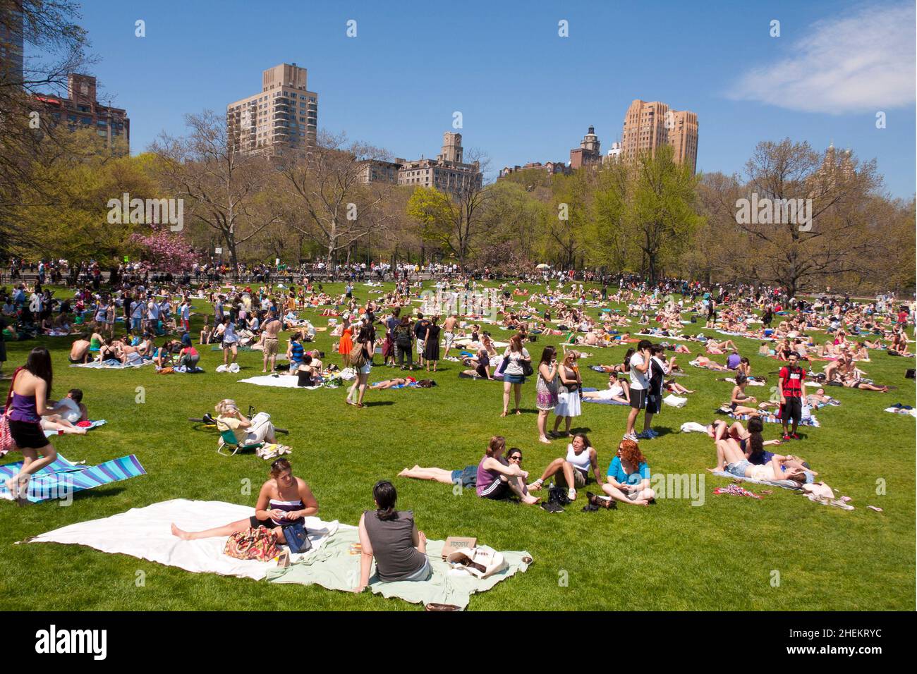 Central Park in New York City, USA. Stockfoto