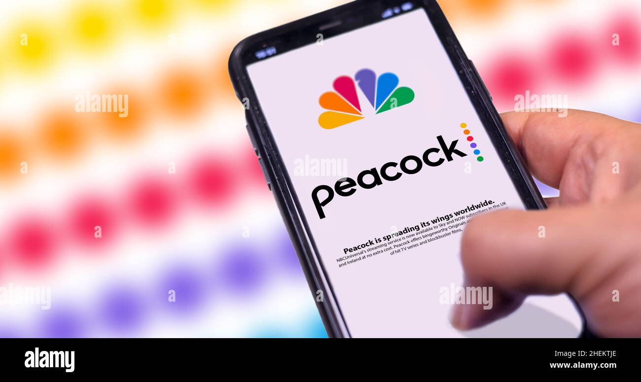 New York, USA, September 2021: Hand hält ein Telefon mit der mobilen App von Pfau TV auf dem Bildschirm mit einem unscharfen Hintergrund. Amerikanisches Video Stockfoto