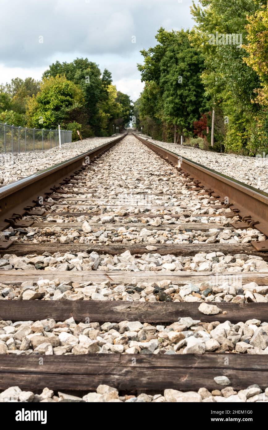 Ein langer Blick auf die Eisenbahnschienen, die in ein stark bewaldetes Gebiet in Southport, Indiana, führen. Stockfoto