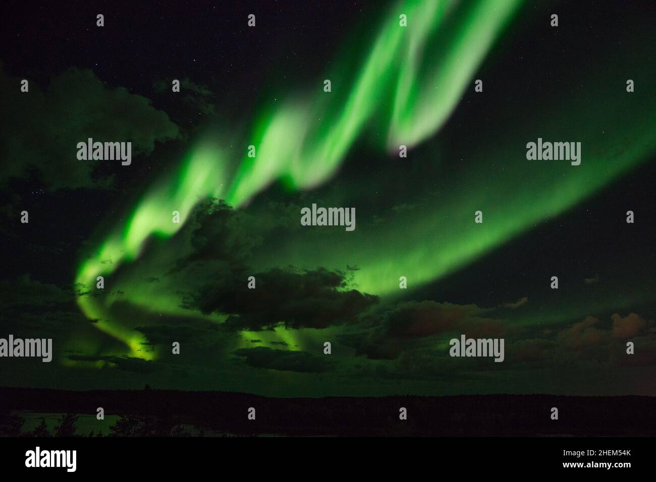 Aurora Borealis rund um Yellowknife in den Northwest Territories, Kanada. Leuchtend grünes Band von Nordlichtern in einer teilweise bewölkten Nacht. Stockfoto