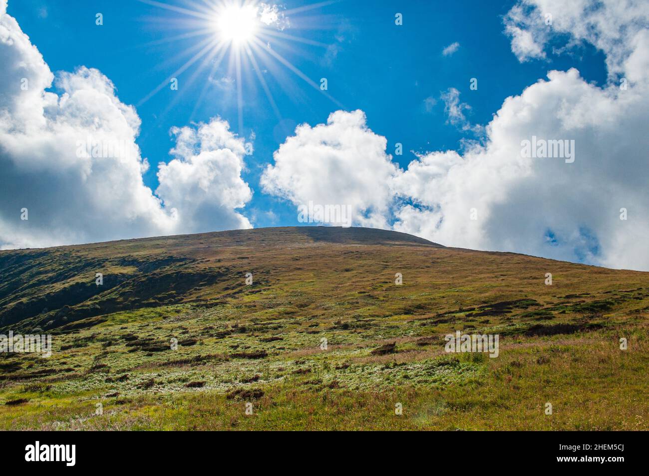 Der Gipfel des Berges Hoverla in den Karpaten, ein sonniger Tag, eine touristische Route. Sommerlandschaft in den Bergen. Stockfoto