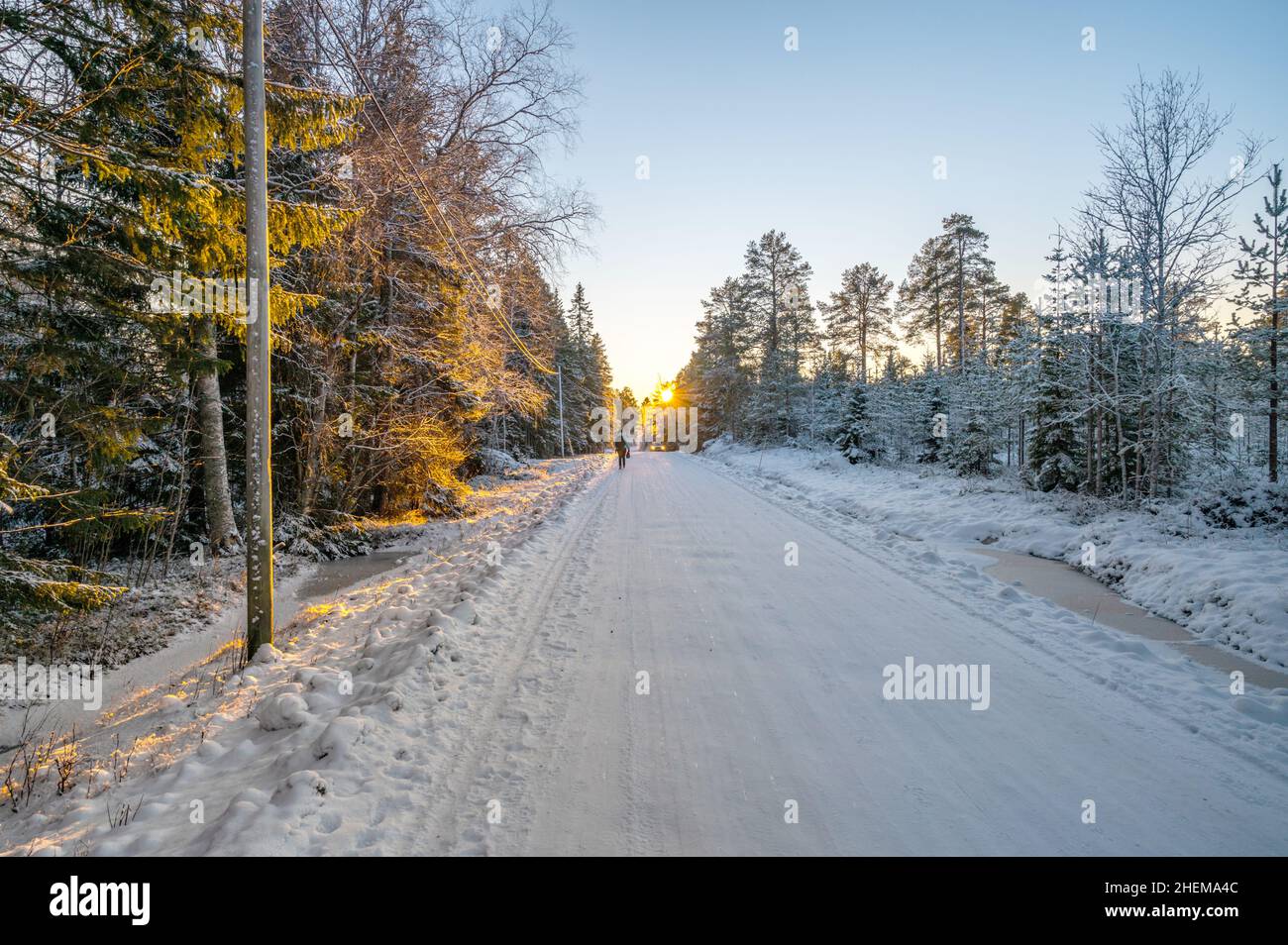 Eine ruhige ruhige Aussicht auf die schneebedeckten Bäume in den Schneeverwehungen und wunderschönen Sonnenuntergang. Eine schöne Frau in farbiger Jacke, die durch die Magica geht Stockfoto