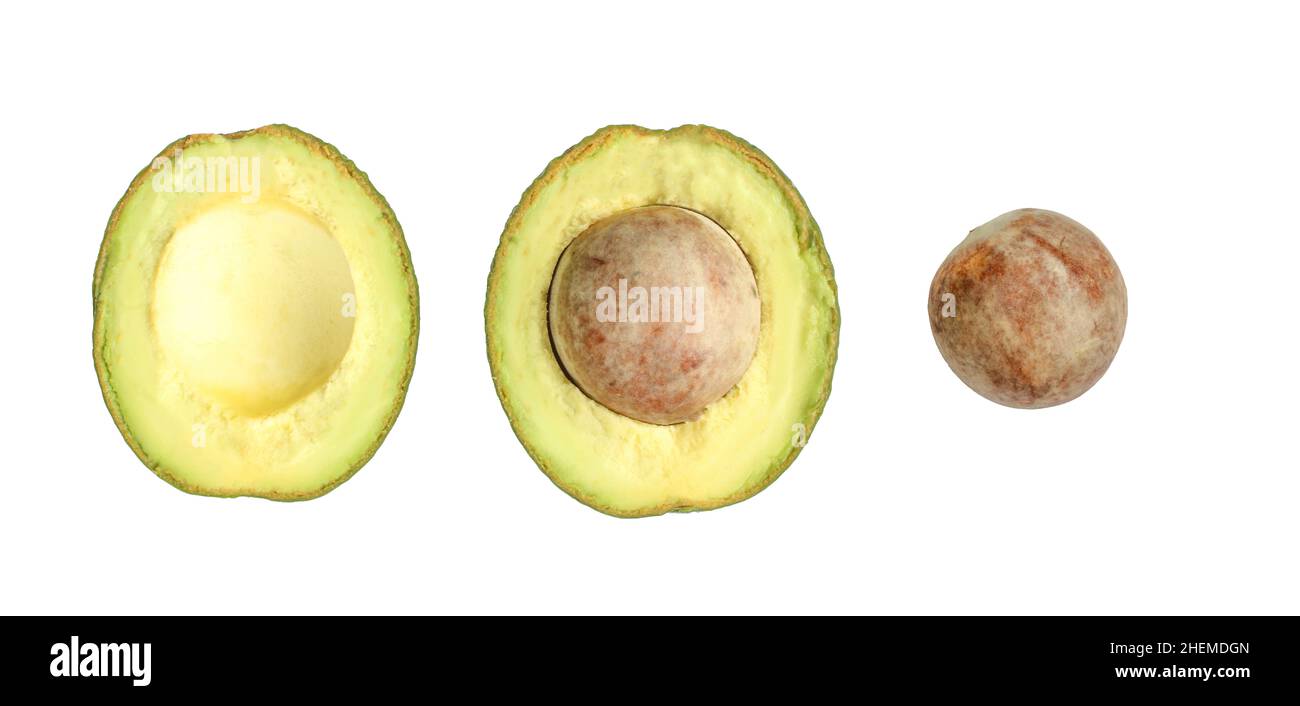 Teile von Avocado isoliert auf weißem Hintergrund. Exotische Früchte in Scheiben geschnitten Stockfoto