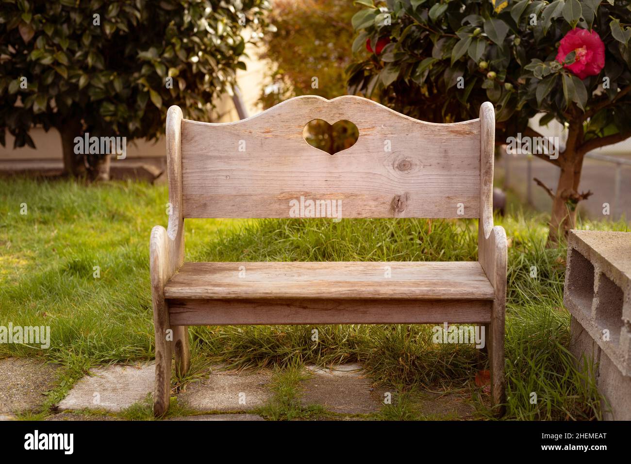 Holzbank mit Herz auf der Terrasse mit goldenem Licht Stockfoto