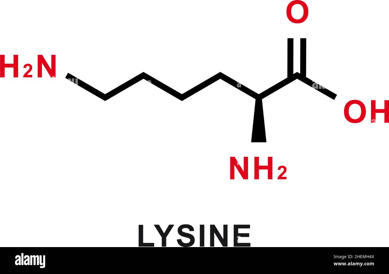 Chemische Formel für Lysin. Lysinchemische molekulare Struktur. Vektorgrafik Stock Vektor