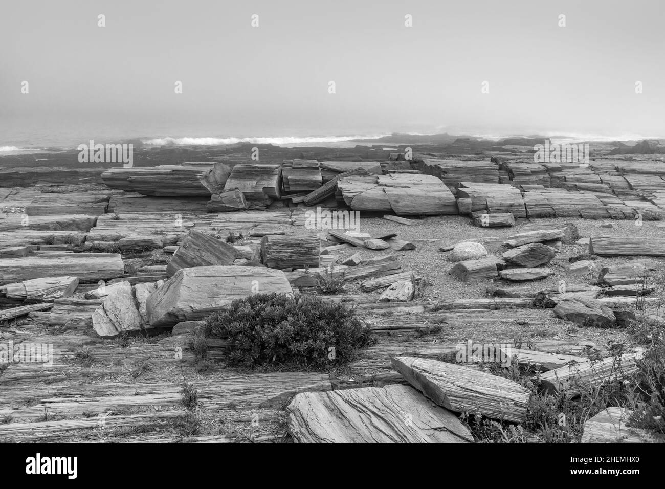 Malerische Küste am Kap Elisabeth im Nebel mit spektakulären Steinformationen Stockfoto