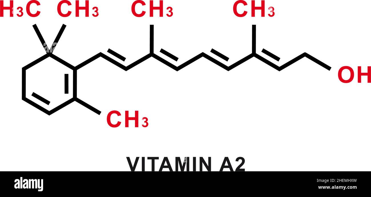 Molekulare Struktur von Vitamin A2 Dehydroretinol. Vitamin A2  Dehydroretinol skeletale chemische Formel. Chemische Molekülformeln  Stock-Vektorgrafik - Alamy